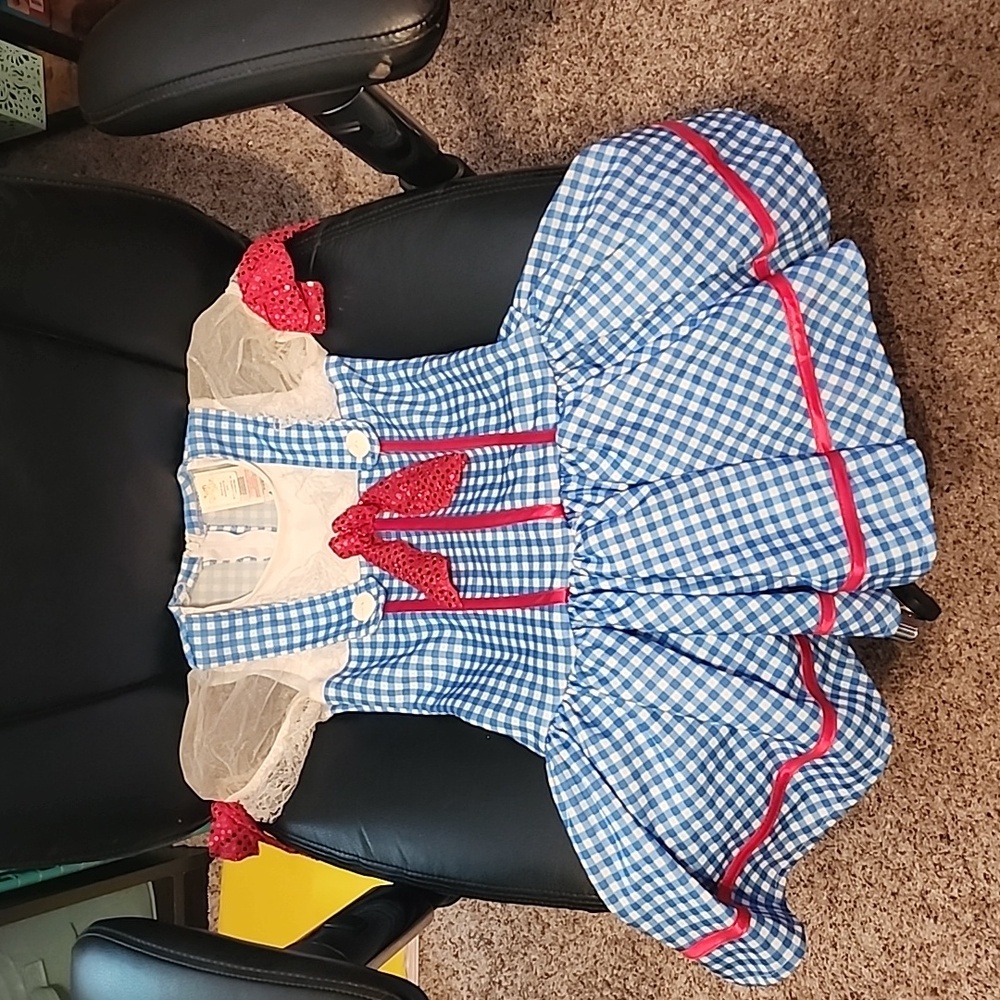 Wizard of Oz "Dorothy" costume